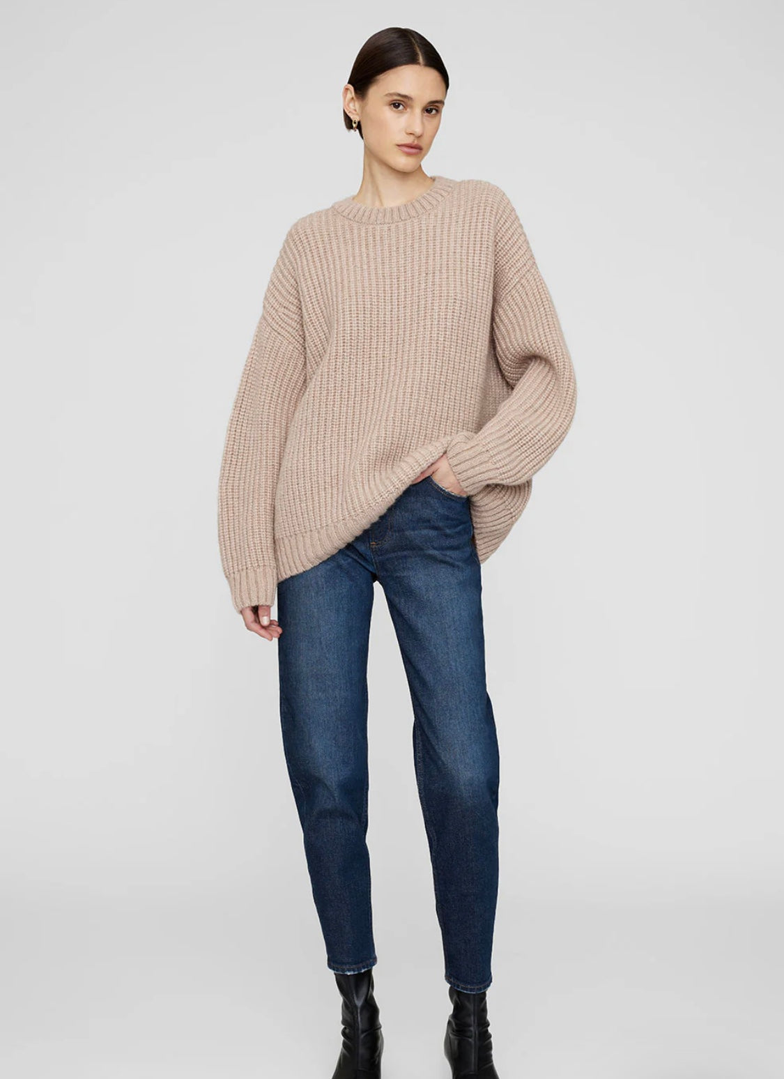 Anine Bing Sydney Crew Sweater