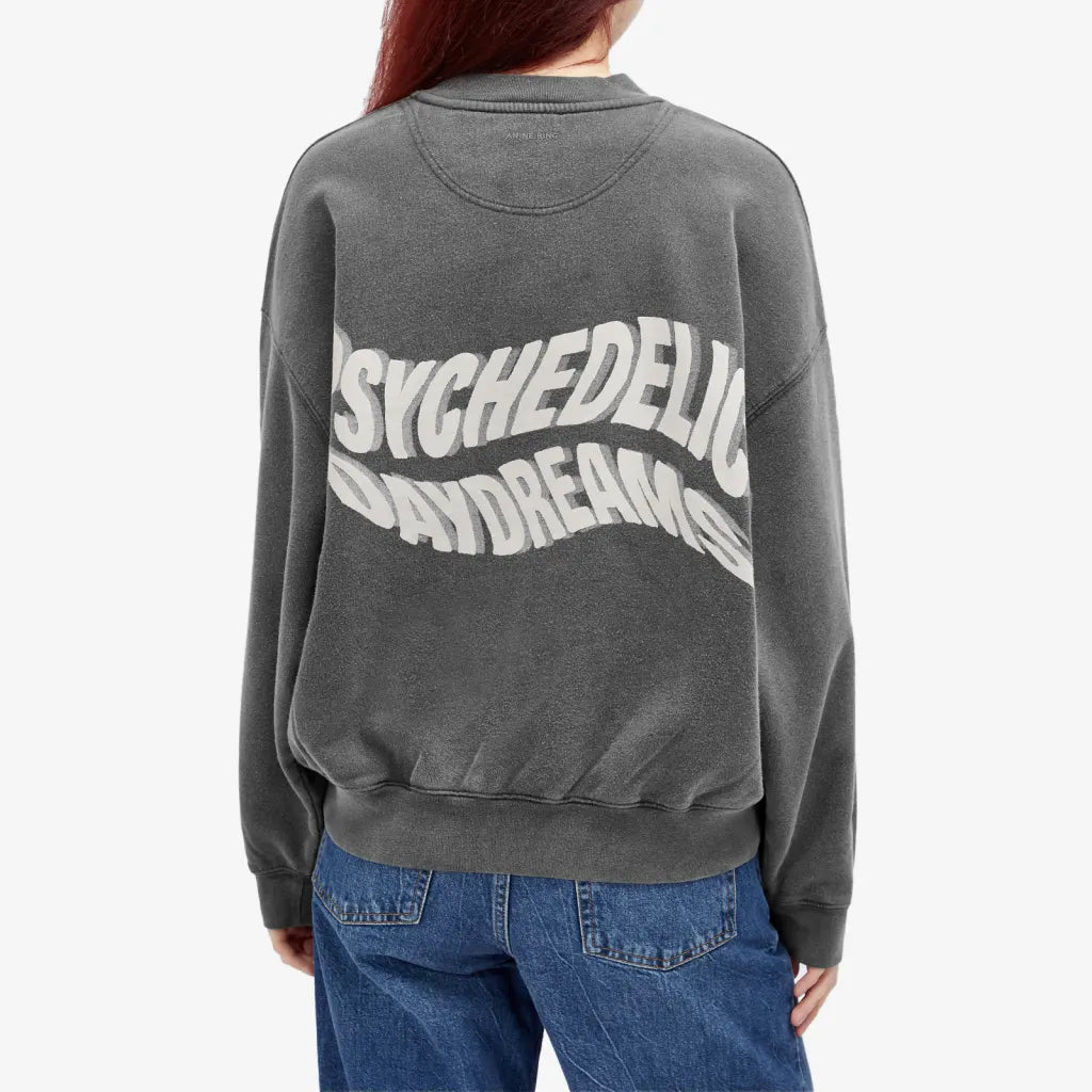 Anine Bing Jaci Sweatshirt Daydreams